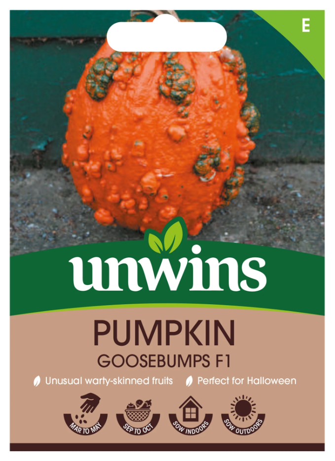 Unwins Pumpkin Goosebumps F1 Seeds