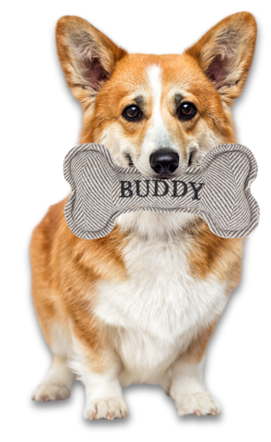 History & Heraldry Personalised Squeaky Bone Dog Toy