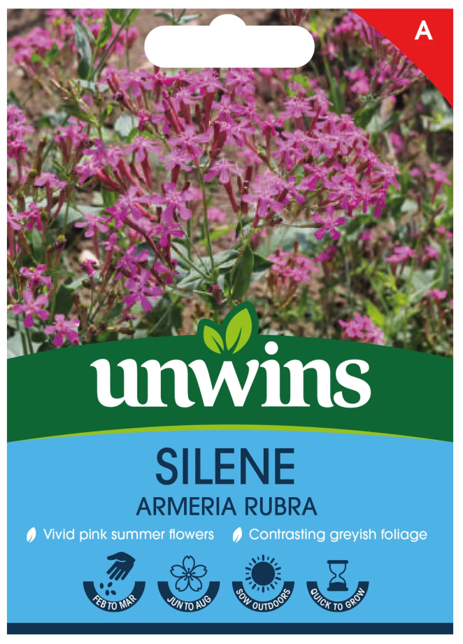 Unwins Silene Armeria Rubra Seeds
