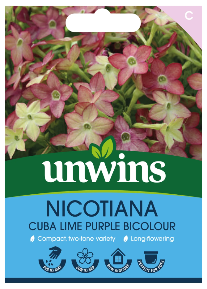 Unwins Nicotiana Cuba Lime Purple Bicolour Seeds