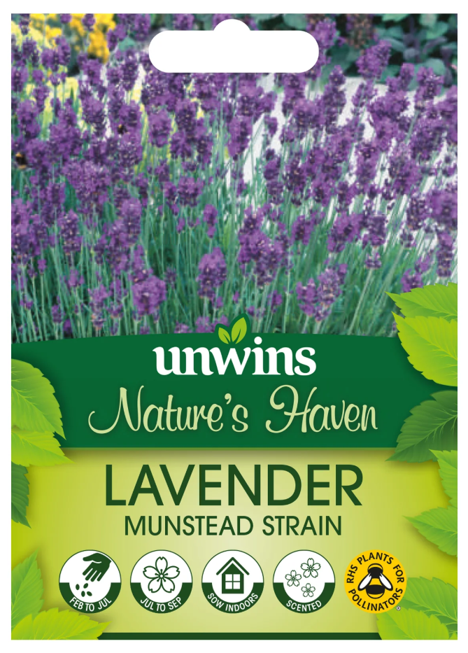 Unwins Nature's Haven Lavender Munstead Strain Seeds