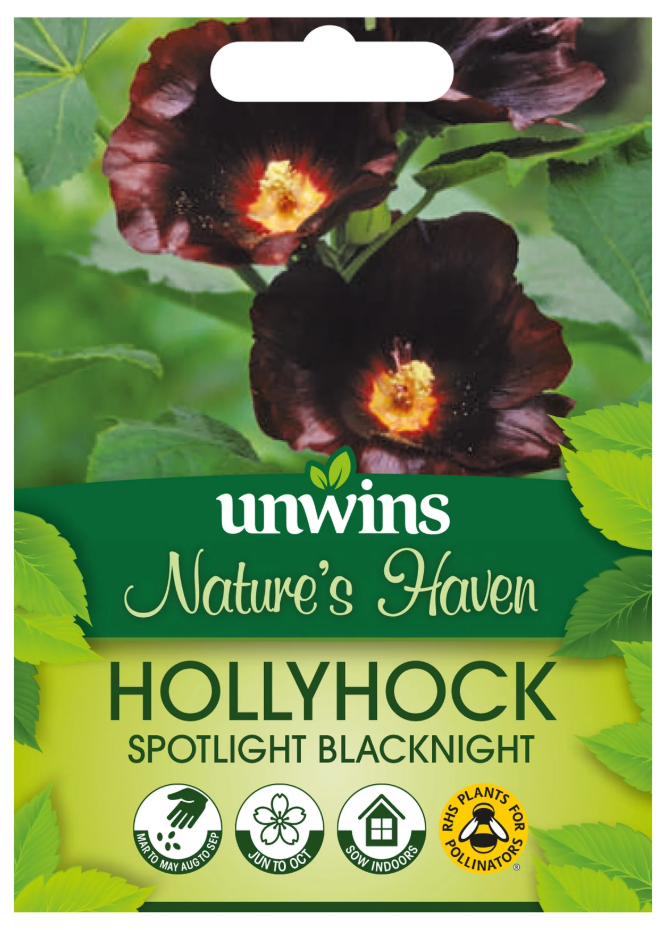 Unwins Nature's Haven Hollyhock Spotlight Blacknight Seeds