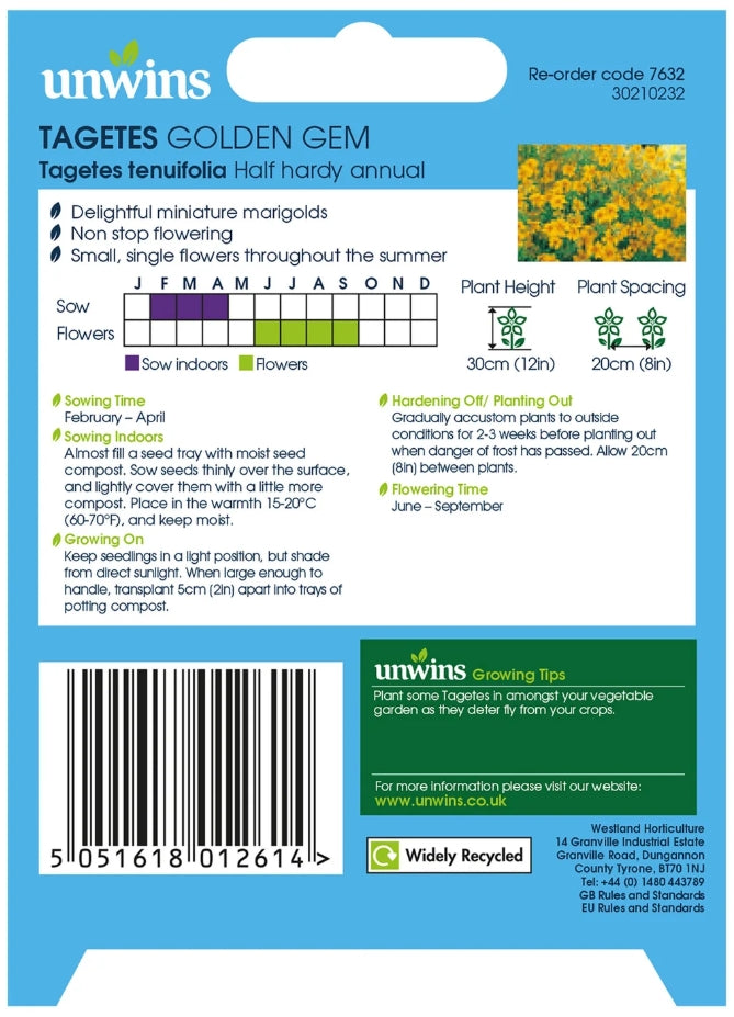 Unwins Tagetes Golden Gem