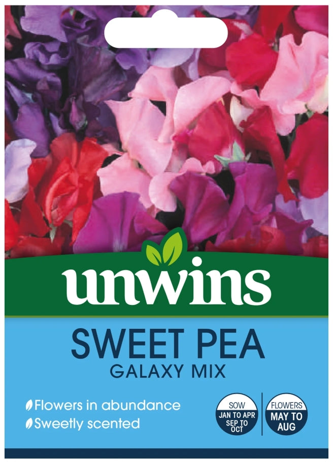 Unwins Sweet Pea Galaxy Mixed