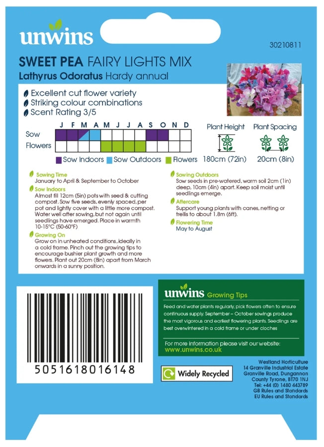 Unwins Sweet Pea Fairy Lights