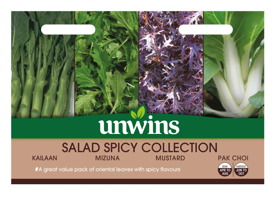 Unwins Salad Spicy Collection Pack Seeds