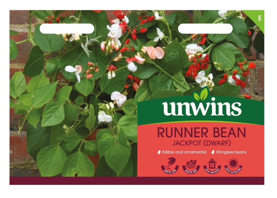 Unwins Dwarf Runner Bean Jackpot Seeds