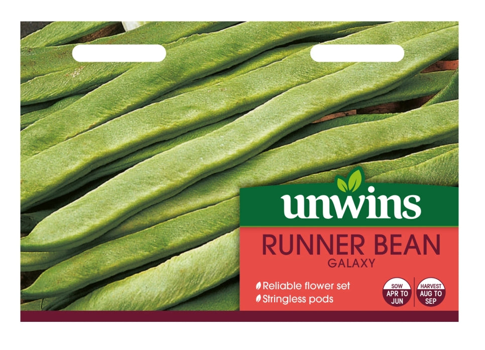 Unwins Runner Bean Galaxy Seeds