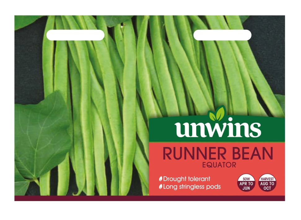 Unwins Runner Bean Equator Seeds