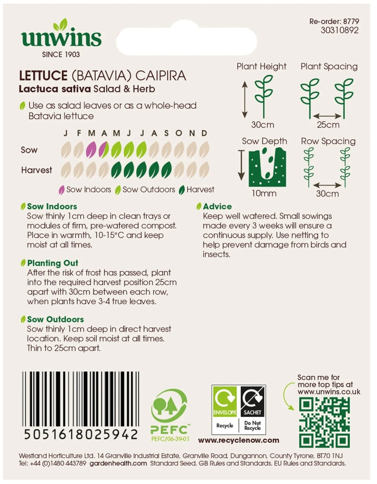 Unwins Batavia Lettuce Caipira Seeds