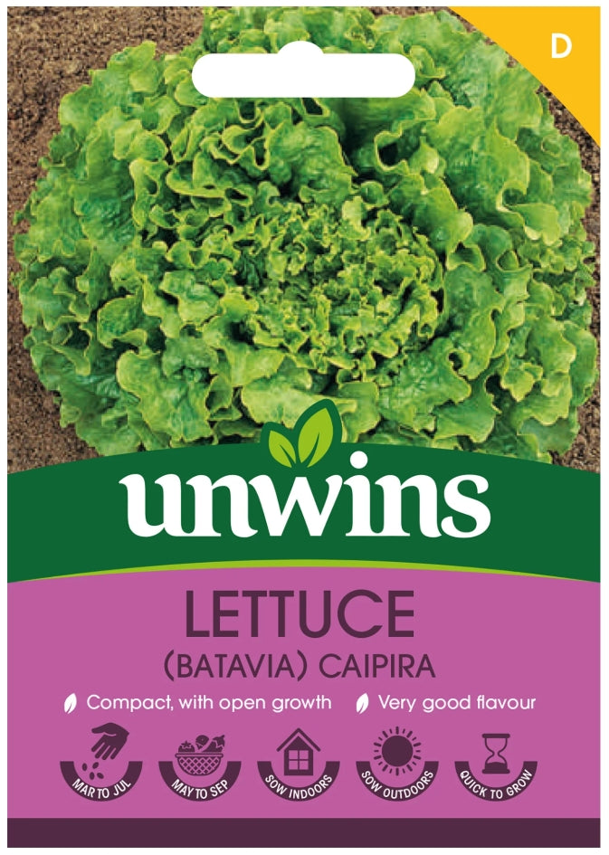 Unwins Batavia Lettuce Caipira Seeds