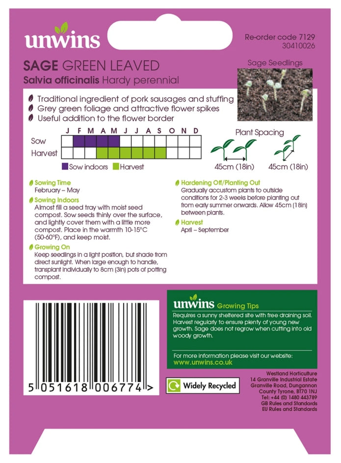 Unwins Sage Green Leaved Seeds