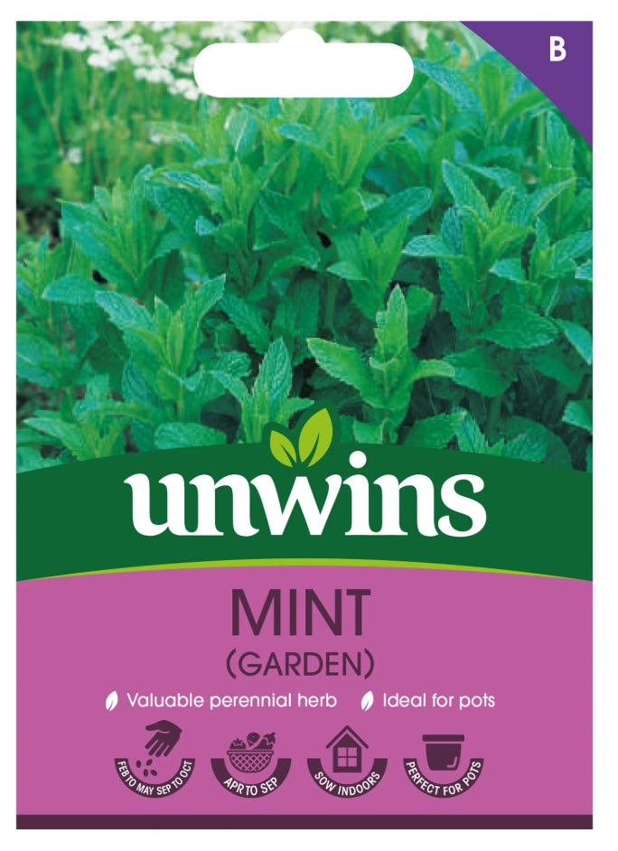 Unwins Garden Mint Seeds