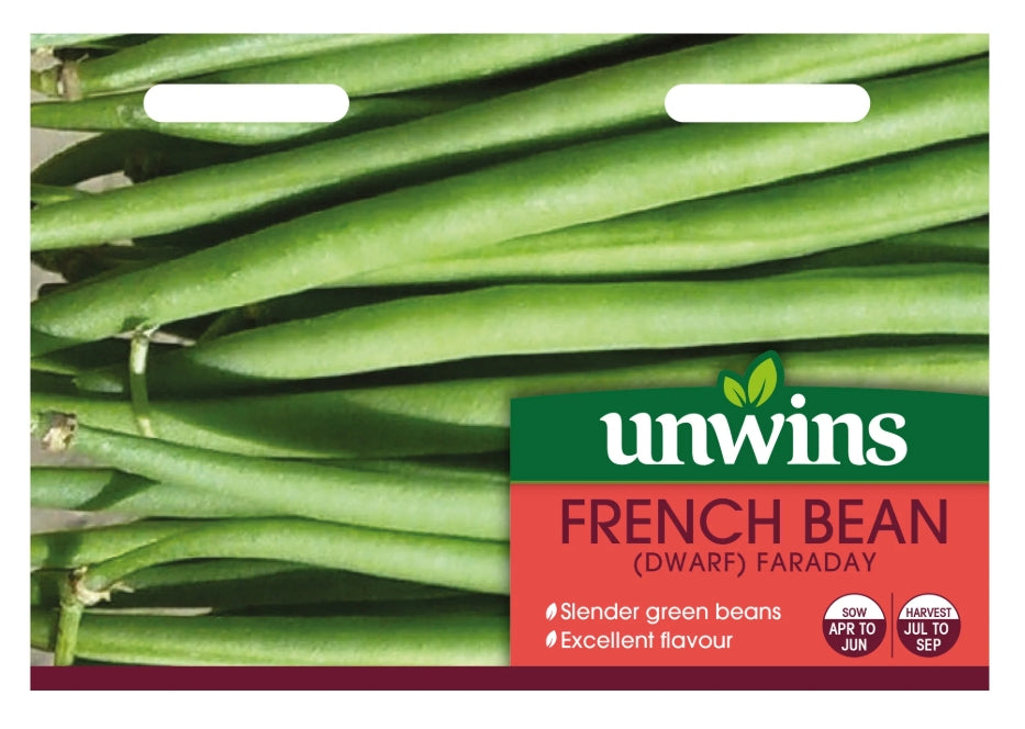 Unwins Dwarf French Bean Faraday Seeds
