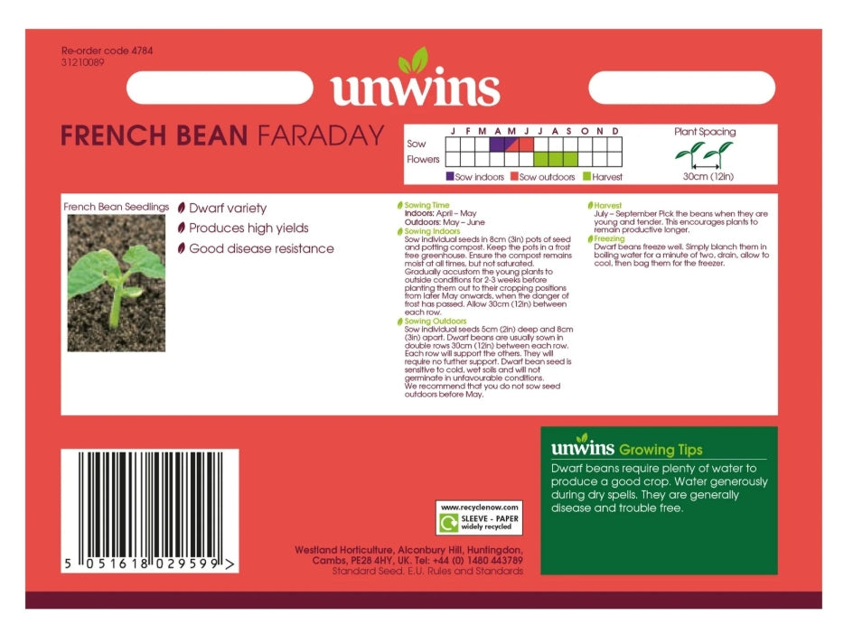 Unwins Dwarf French Bean Faraday Seeds