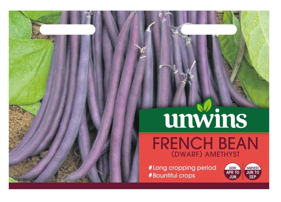 Unwins Dwarf French Bean Amethyst Seeds
