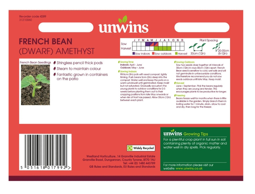 Unwins Dwarf French Bean Amethyst Seeds