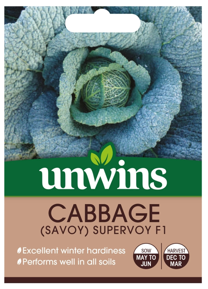 Unwins Savoy Cabbage Supervoy F1 Seeds