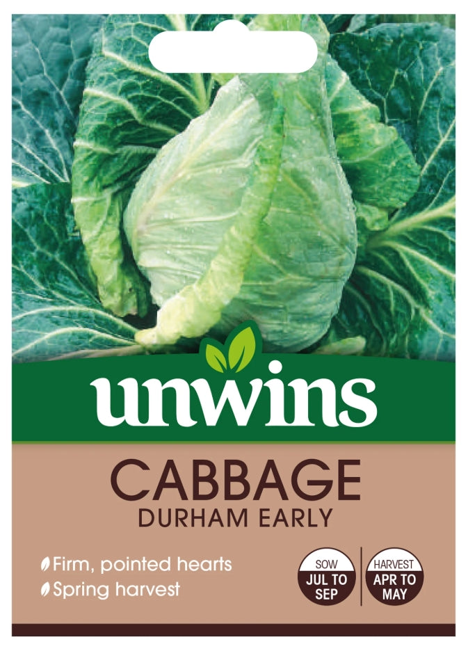 Unwins Pointed Cabbage Durham Early Seeds