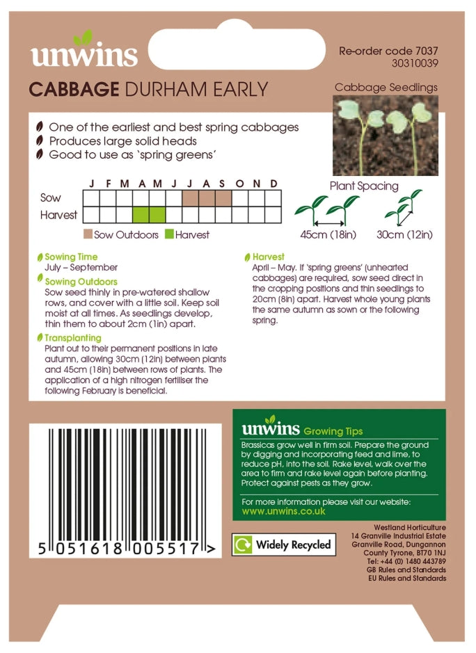 Unwins Pointed Cabbage Durham Early Seeds