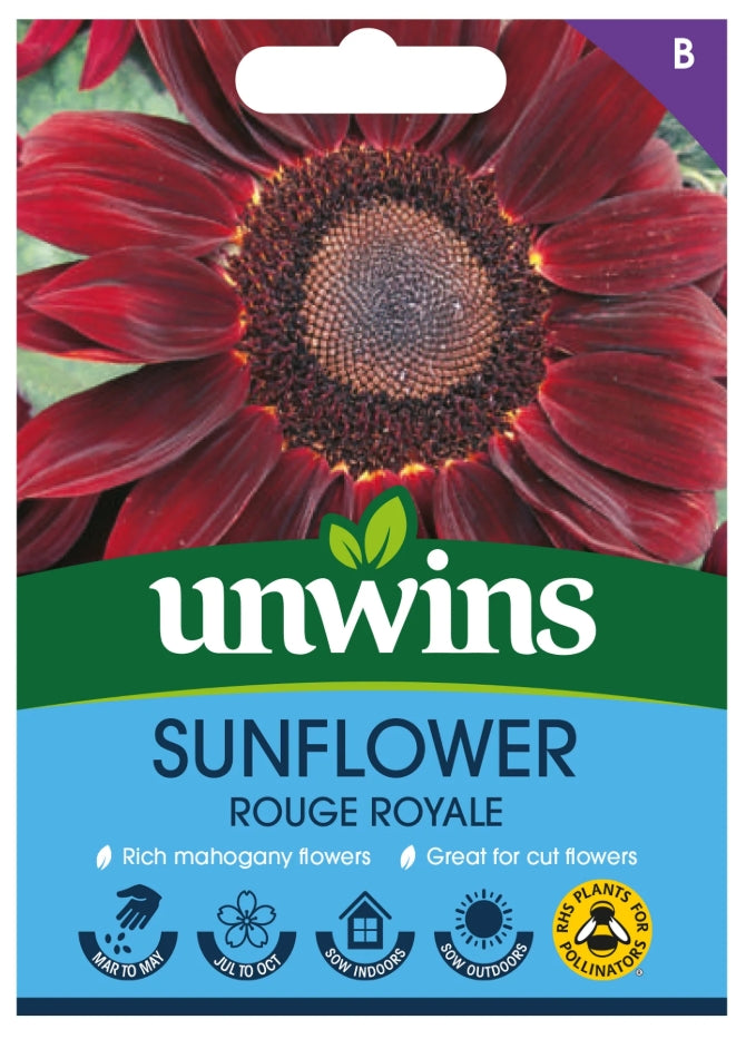 Unwins Sunflower Rouge Royale Seeds