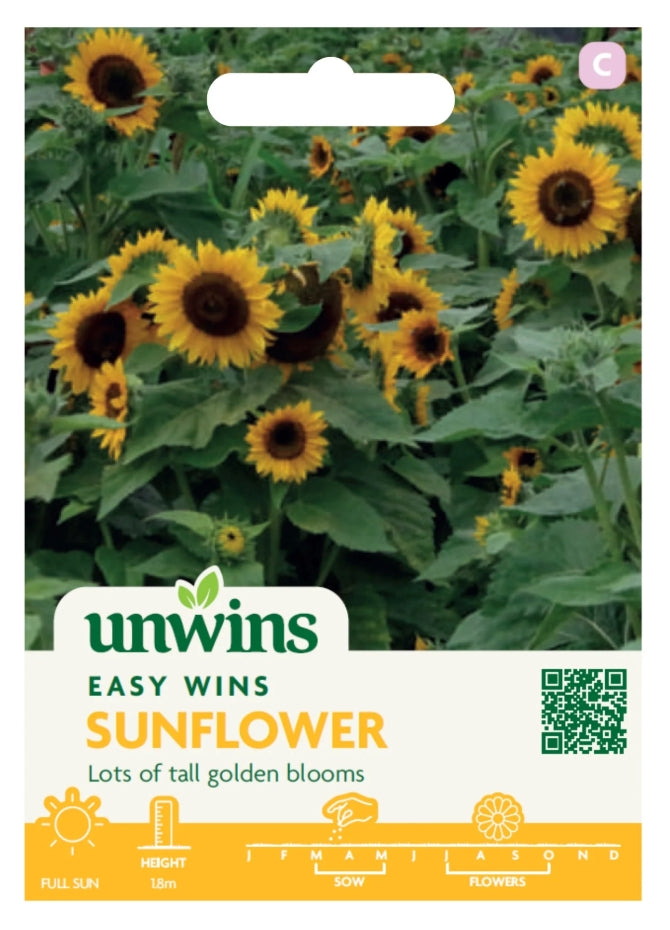 Unwins Easy Wins Sunflower