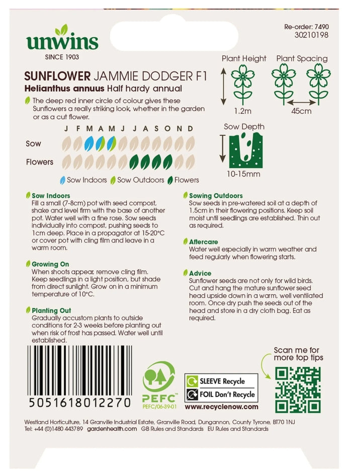 Unwins Sunflower Jammie Dodger F1 Seeds
