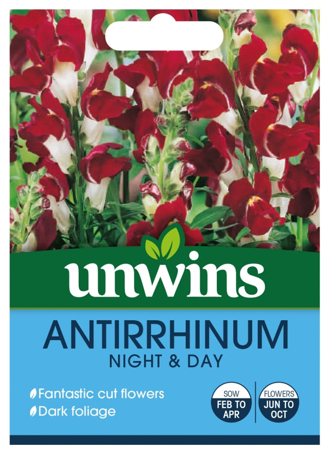 Unwins Antirrhinum Night & Day Seeds