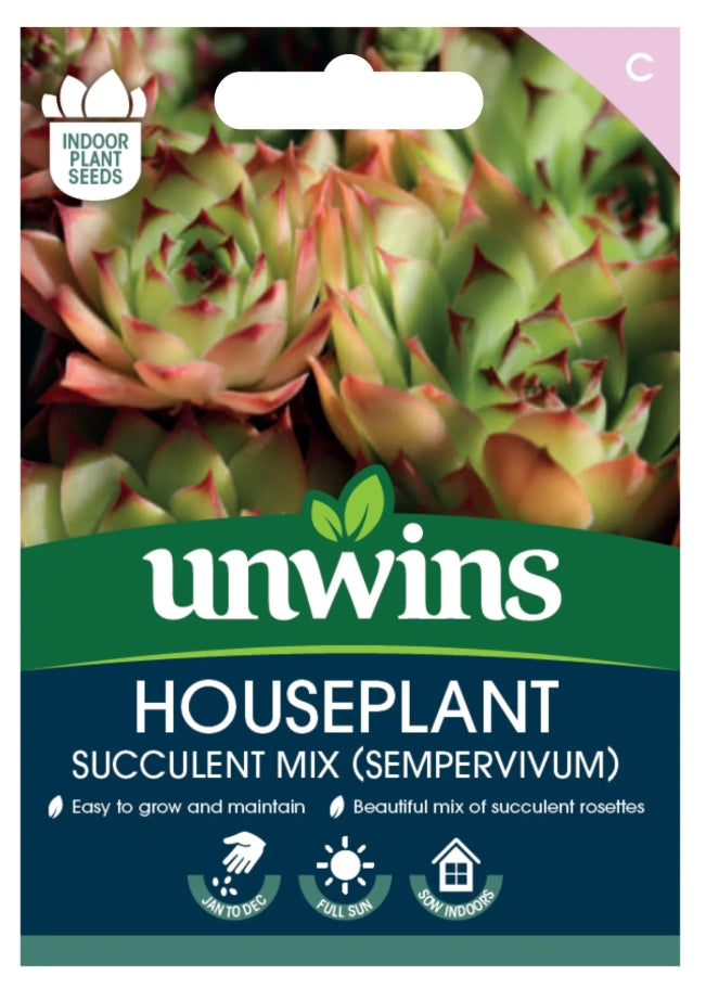 Unwins Houseplant Succulent Mix (Sempervivum) Seeds