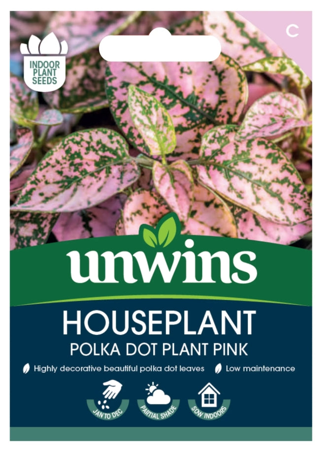 Unwins Houseplant Hypoestes Polka Dot Plant Pink Seeds