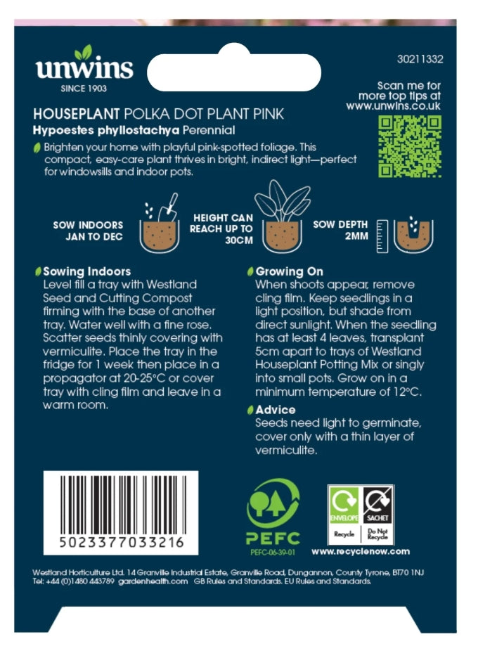 Unwins Houseplant Hypoestes Polka Dot Plant Pink Seeds