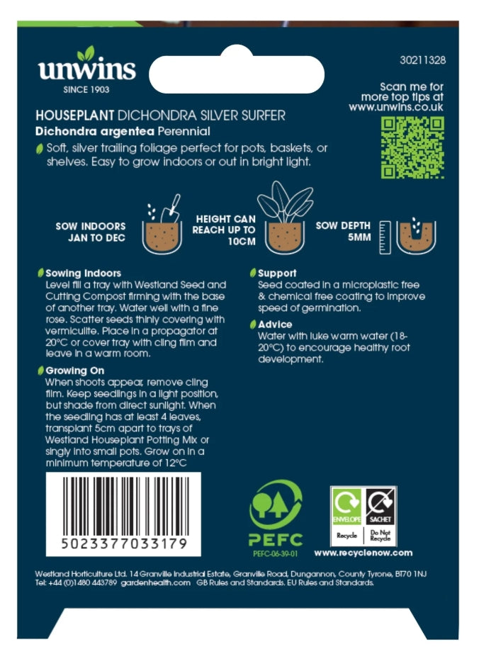 Unwins Houseplant Dichondra Silver Surfer Seeds