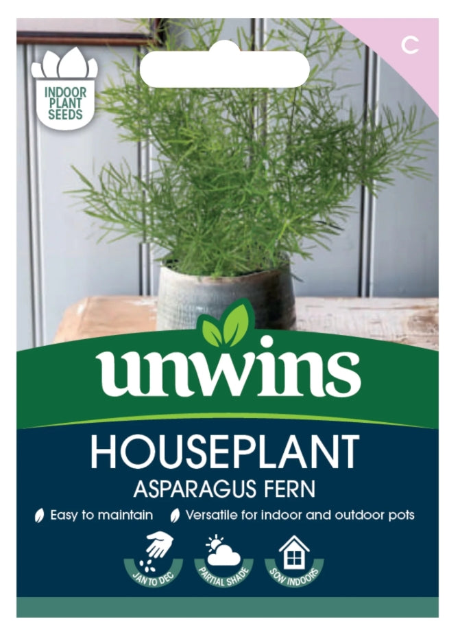 Unwins Houseplant Asparagus Fern Seeds