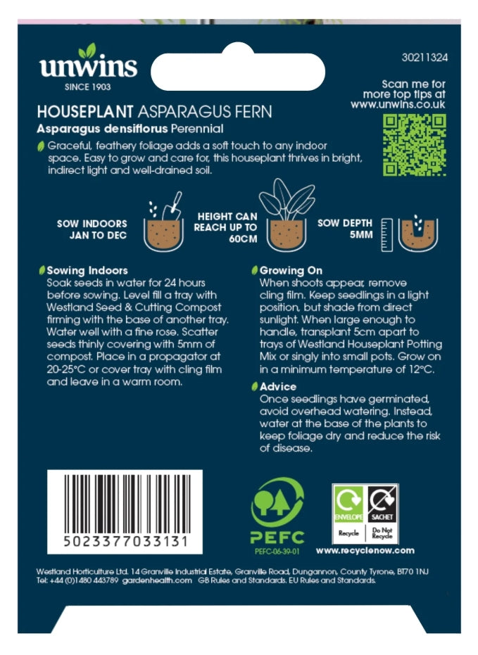 Unwins Houseplant Asparagus Fern Seeds