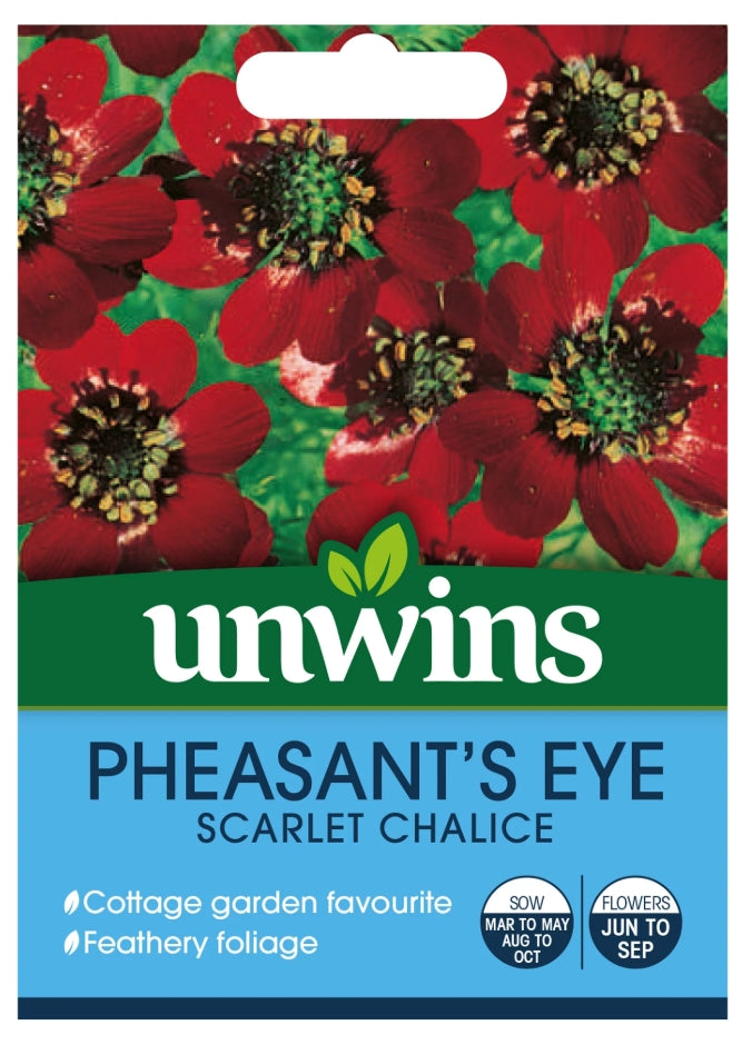 Unwins Pheasant's Eye Scarlet Chalice Seeds