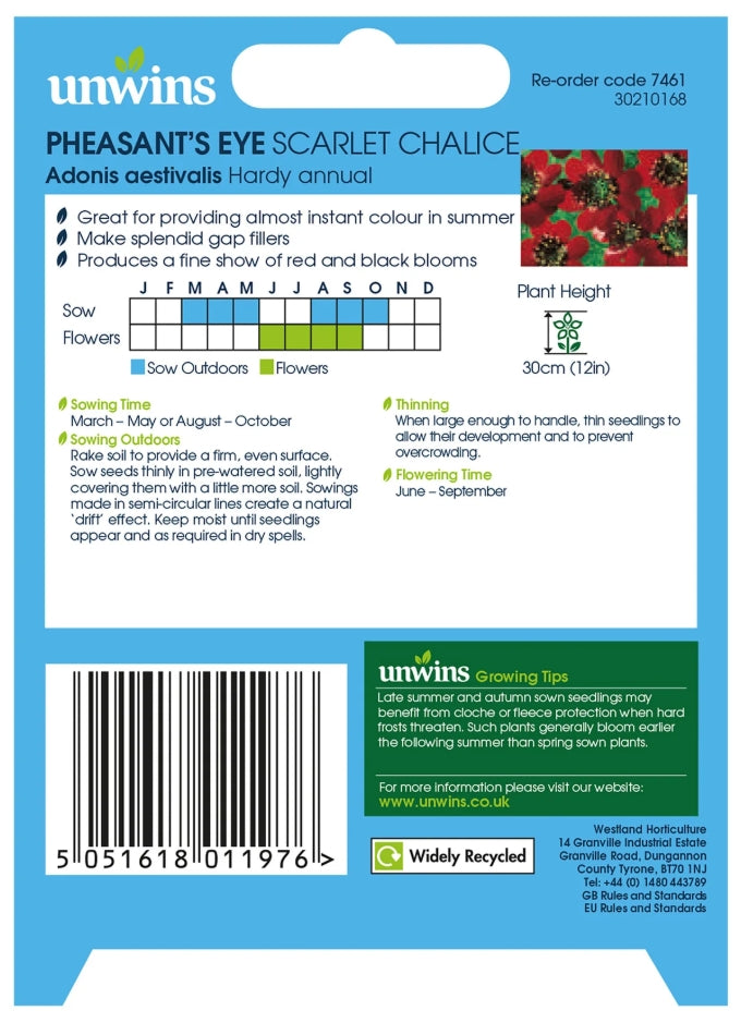 Unwins Pheasant's Eye Scarlet Chalice Seeds