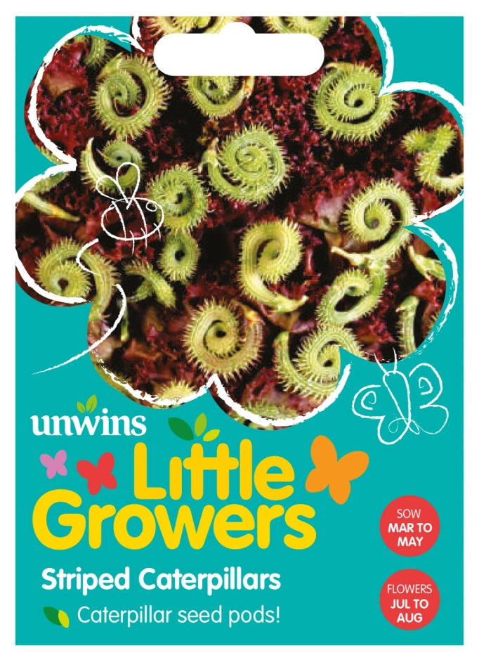Unwins Little Growers Striped Caterpillars Seeds