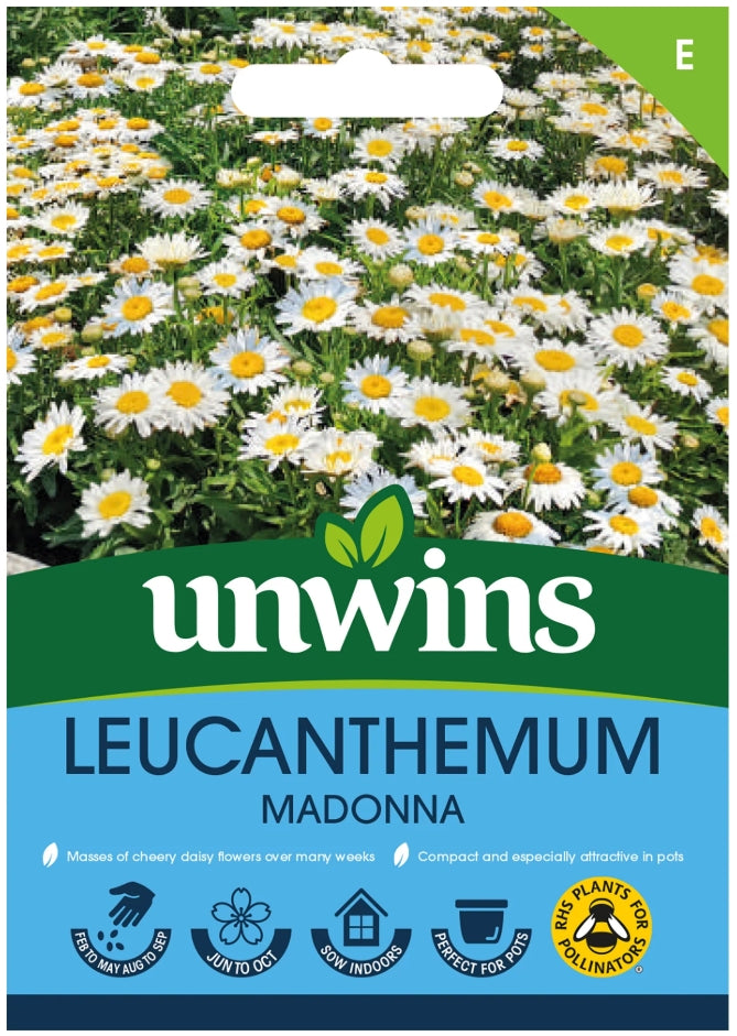Unwins Leucanthemum Madonna Seeds