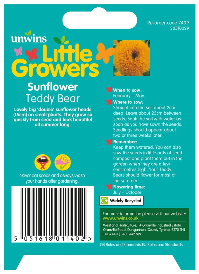 Unwins Little Growers Sunflower Teddy Bear Seeds