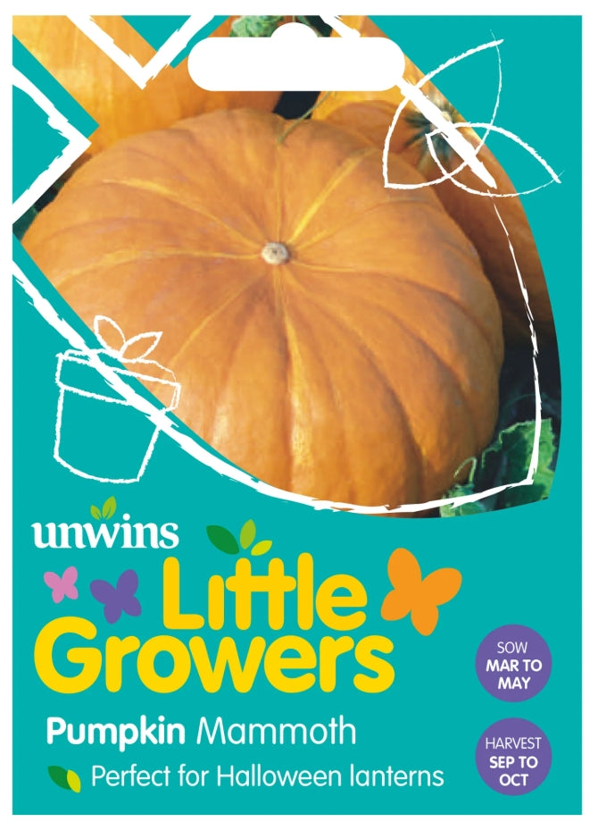 Unwins Little Growers Pumpkin Mammoth Seeds