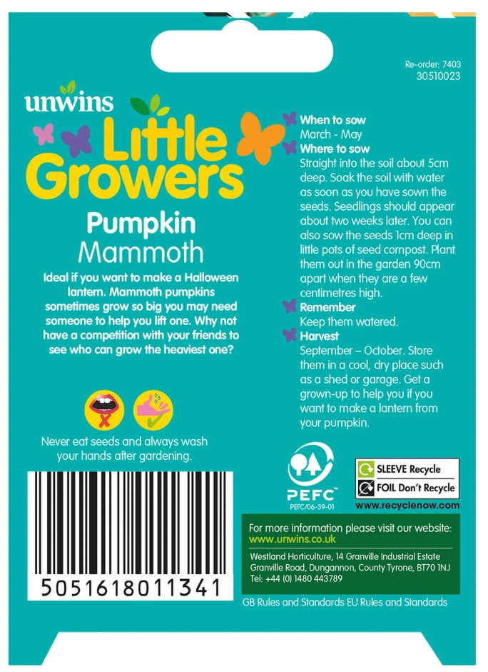 Unwins Little Growers Pumpkin Mammoth Seeds