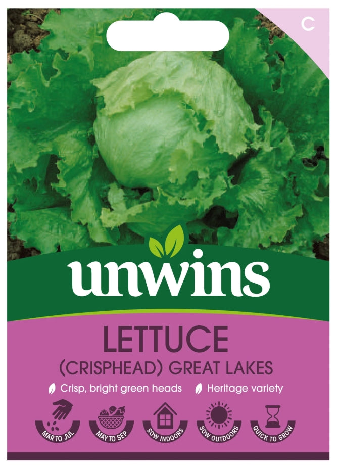 Unwins Crisphead Lettuce Great Lakes Seeds
