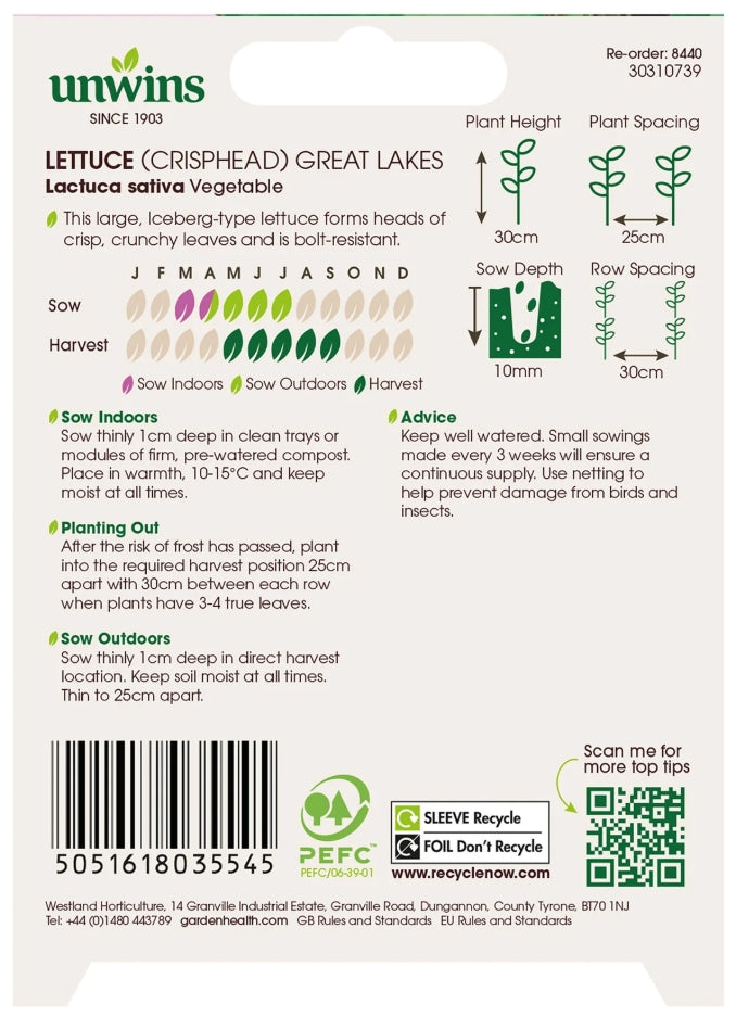 Unwins Crisphead Lettuce Great Lakes Seeds