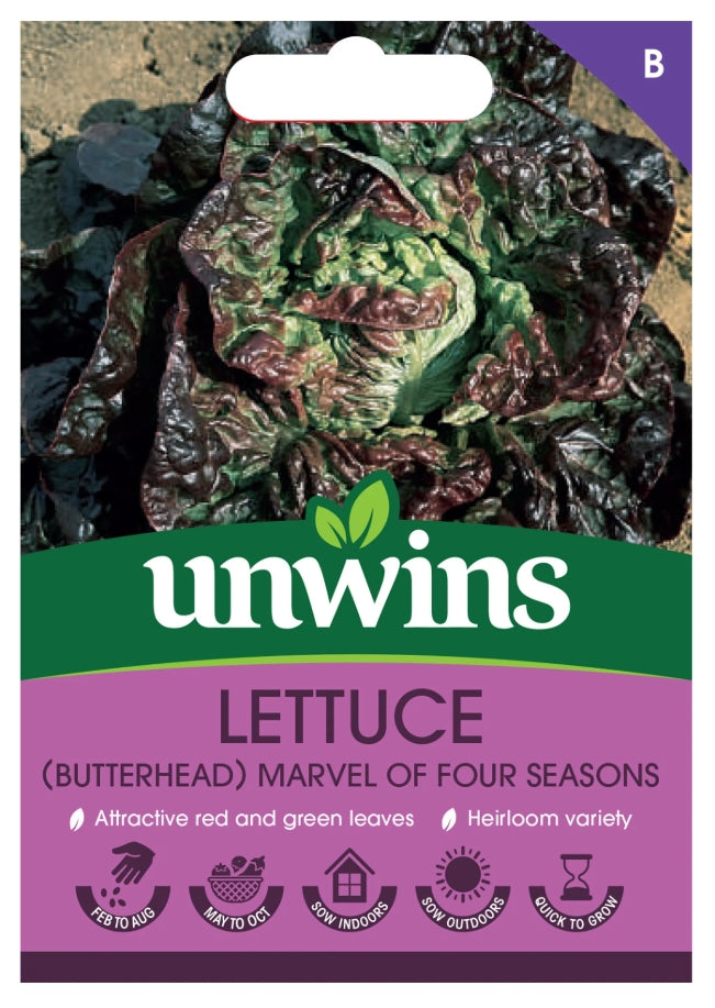 Unwins Butterhead Lettuce Marvel of Four Seasons Seeds