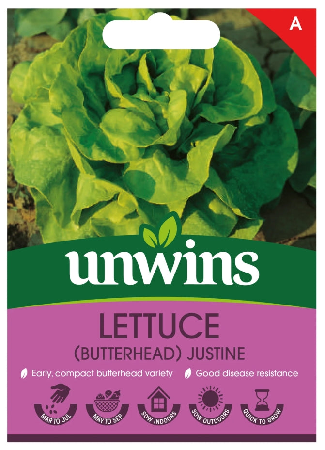 Unwins Butterhead Lettuce Justine Seeds