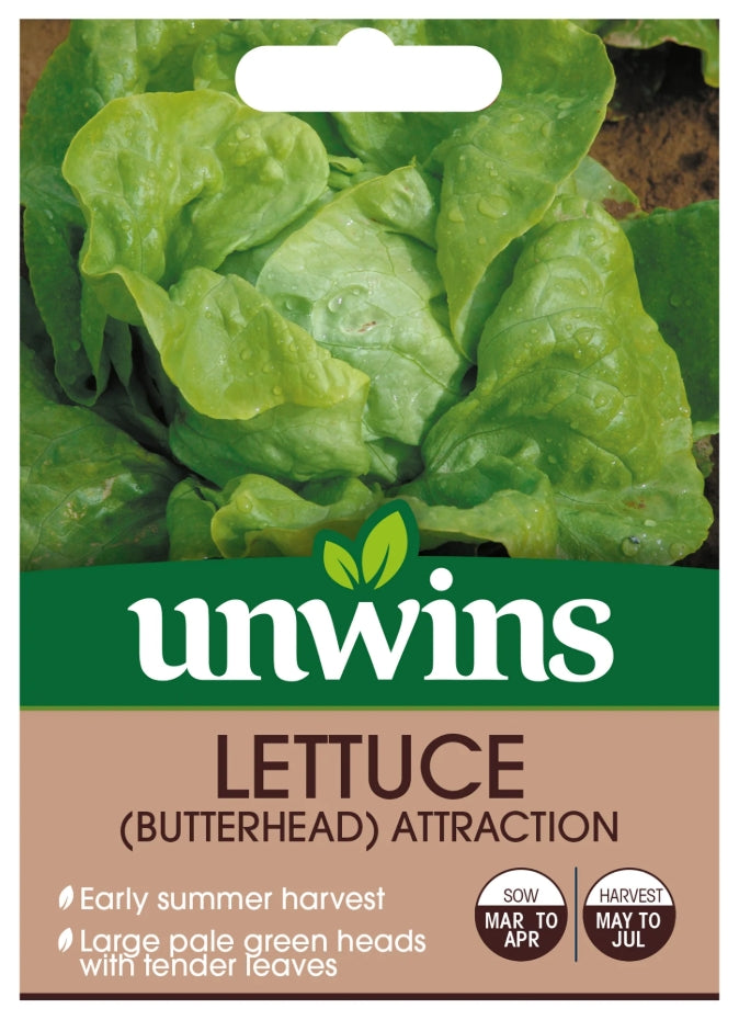 Unwins Butterhead Lettuce Attraction Seeds