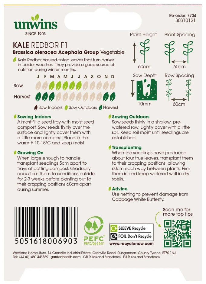 Unwins Kale Redbor F1 Seeds
