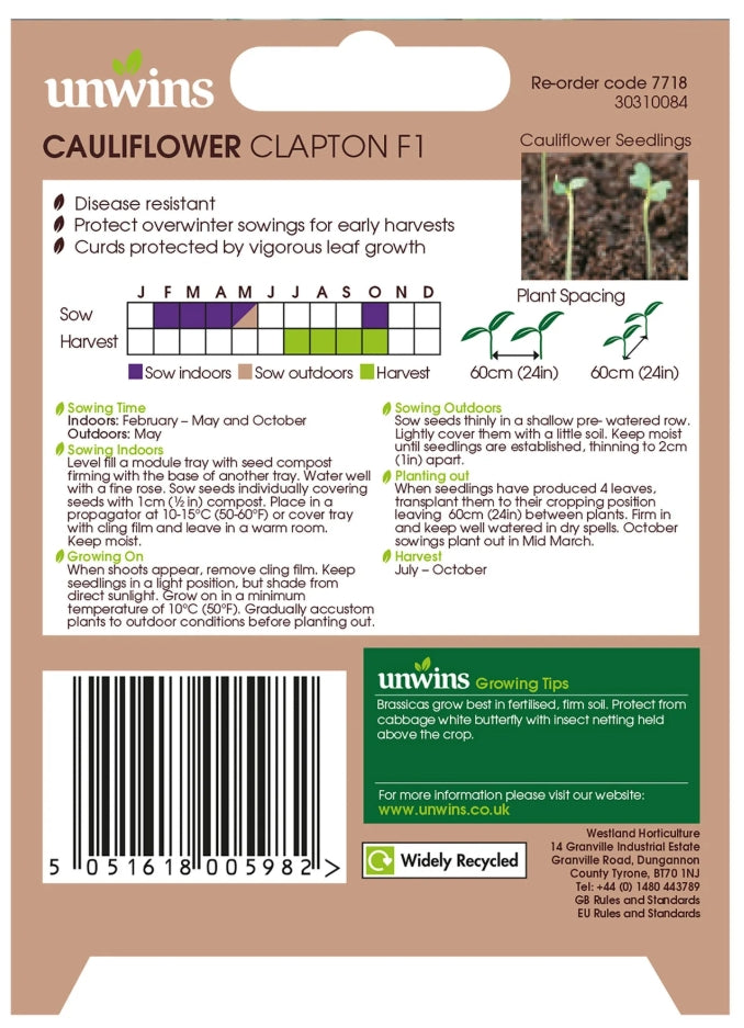 Unwins Cauliflower Clapton F1 Seeds