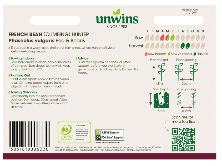 Unwins Climbing French Bean Hunter Seeds
