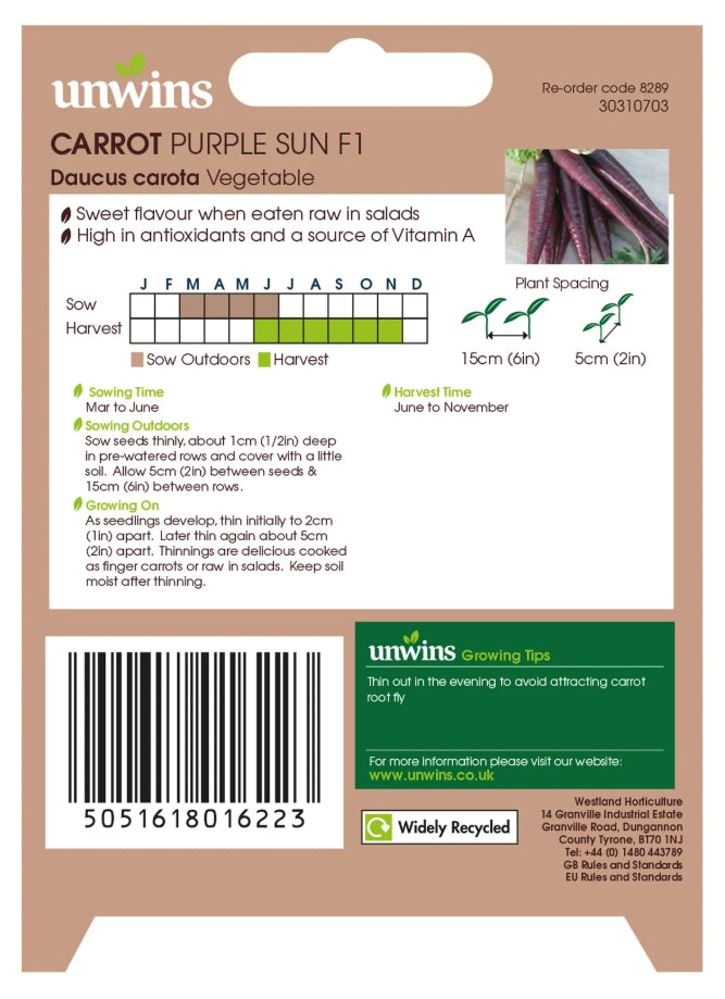 Unwins Carrot Purple Sun Seeds